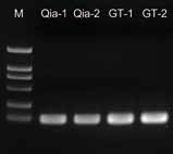 1574761621200967.jpg x_64f5227334.jpg