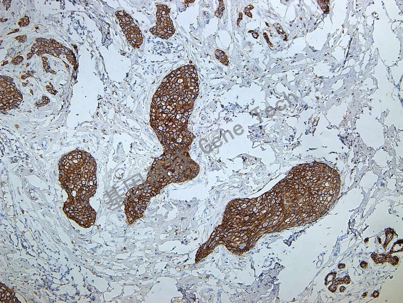 1616980628823906.jpg 1616980628823906.jpg