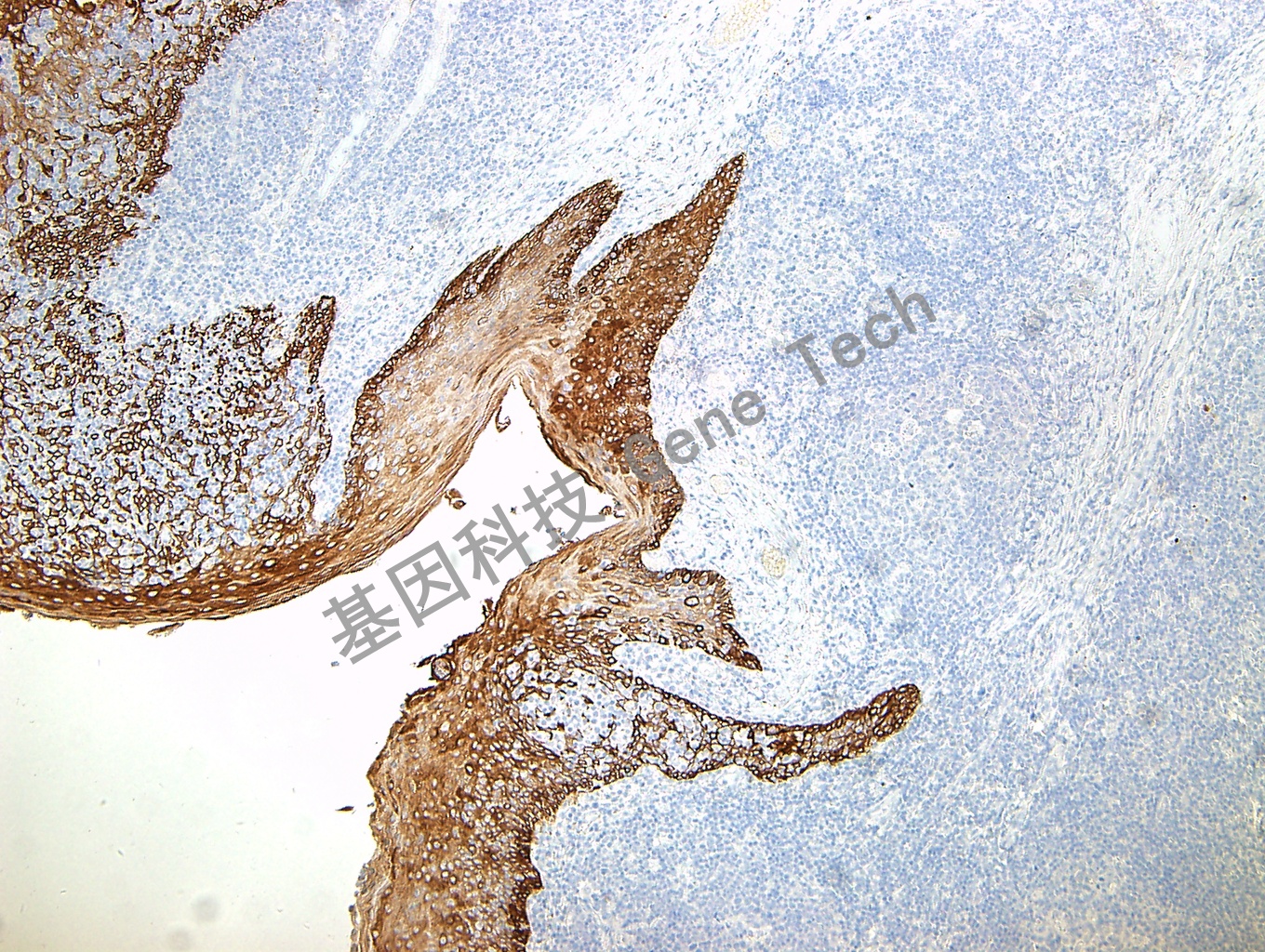 1622013886167202.jpg 1622013886167202.jpg