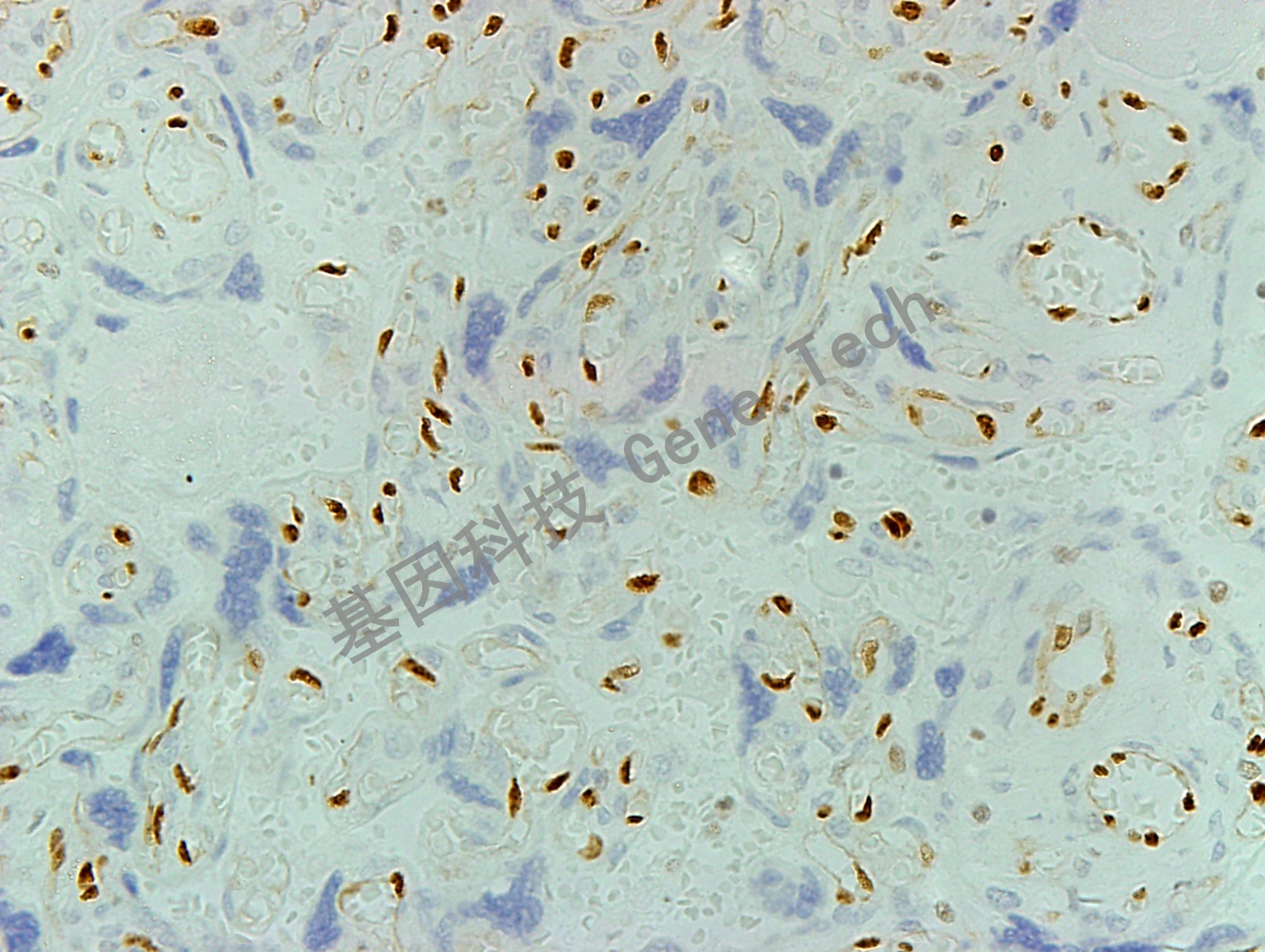 1626687374530289.jpg 1626687374530289.jpg