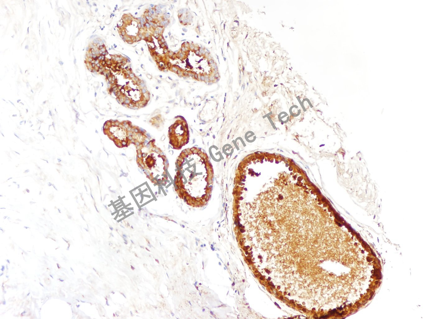 1626762428181580.jpg 1626762428181580.jpg