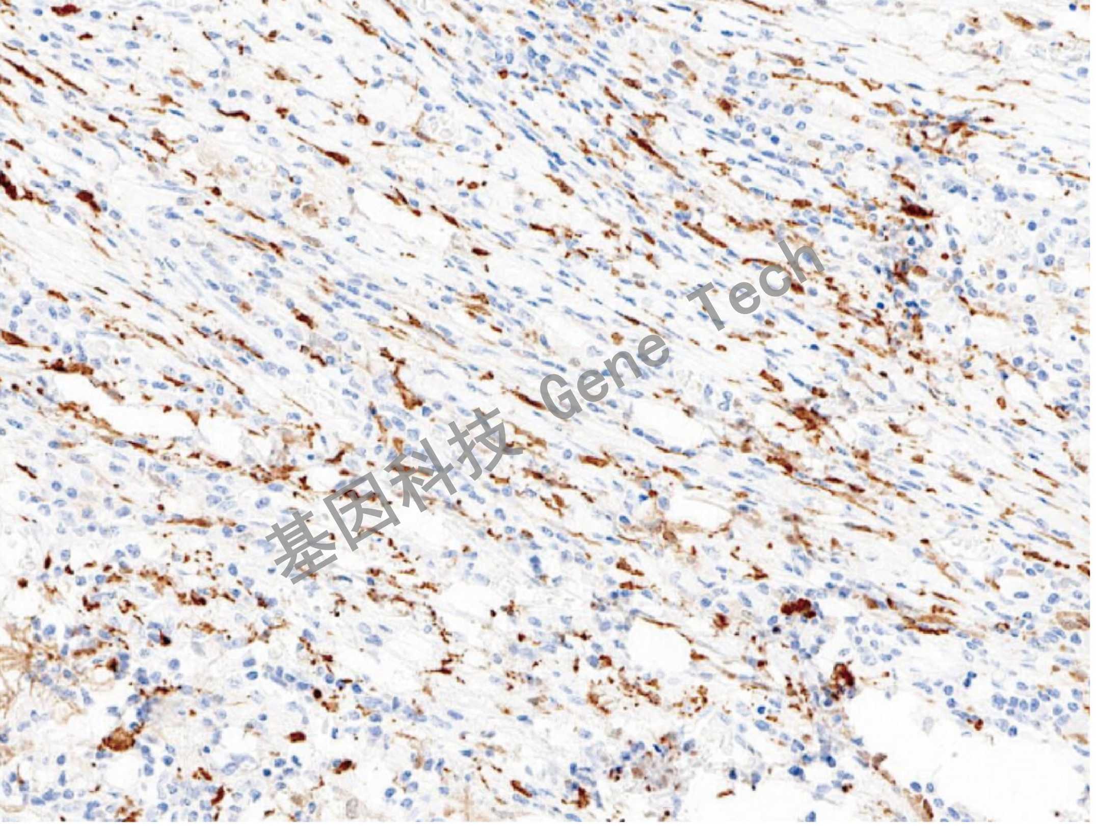 1668412405507055.jpg 1668412405507055.jpg