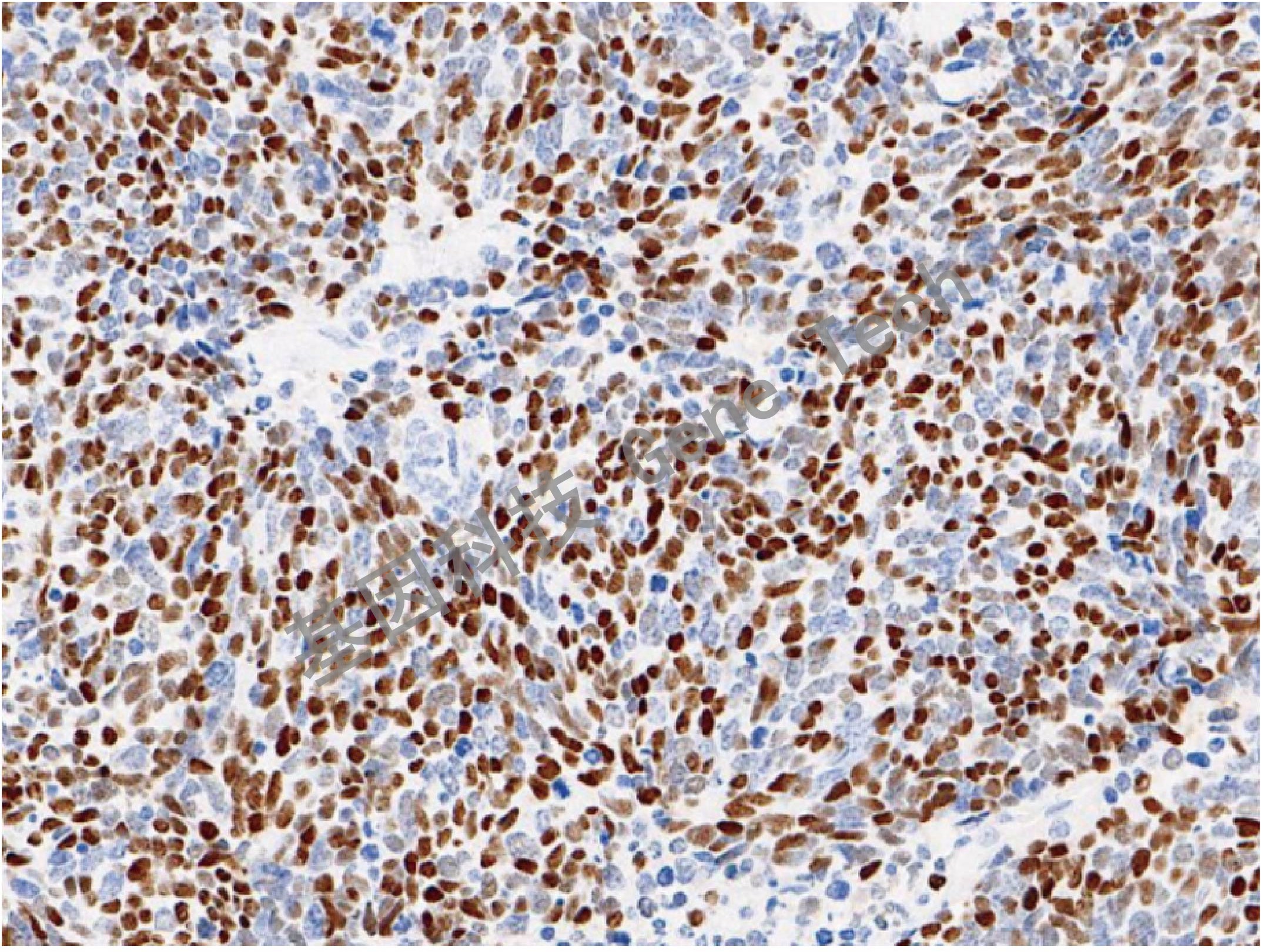 1668488550214562.jpg 1668488550214562.jpg