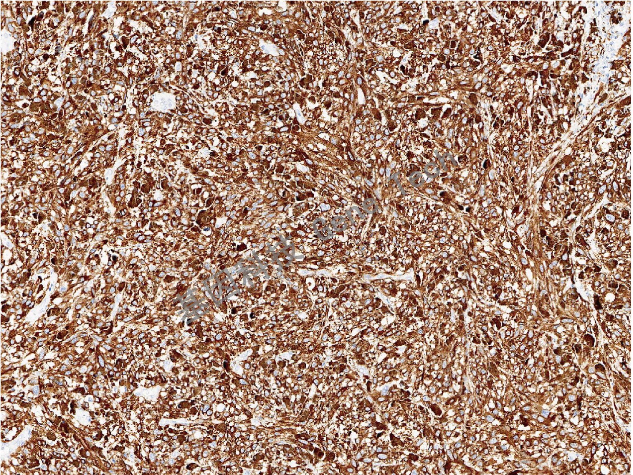 1668560779706704.jpg 1668560779706704.jpg