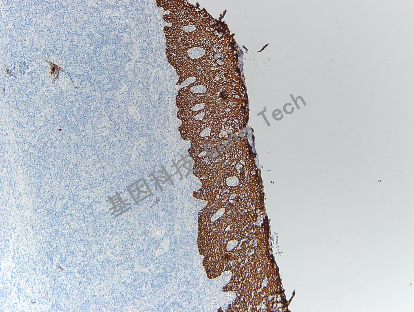 1677125236258623.jpg 1677125236258623.jpg