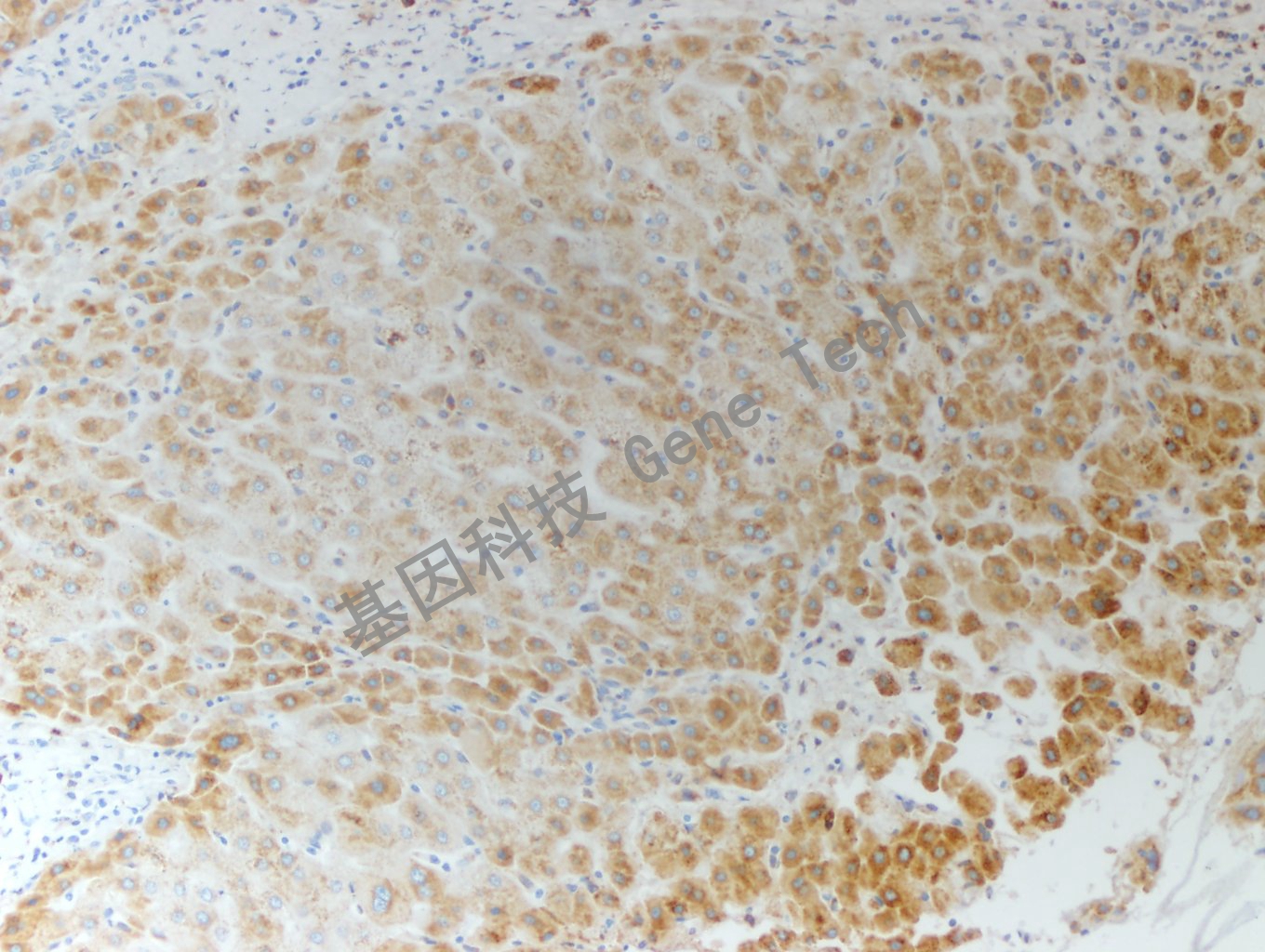 1679623220672311.jpg 1679623220672311.jpg