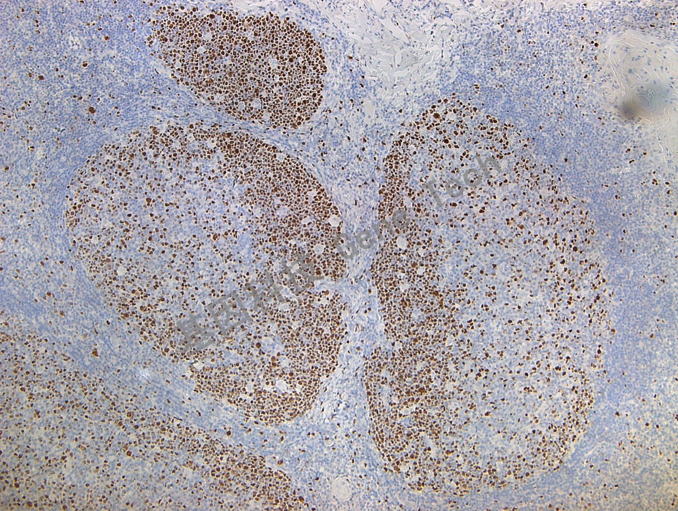 1679988452127695.jpg 1679988452127695.jpg