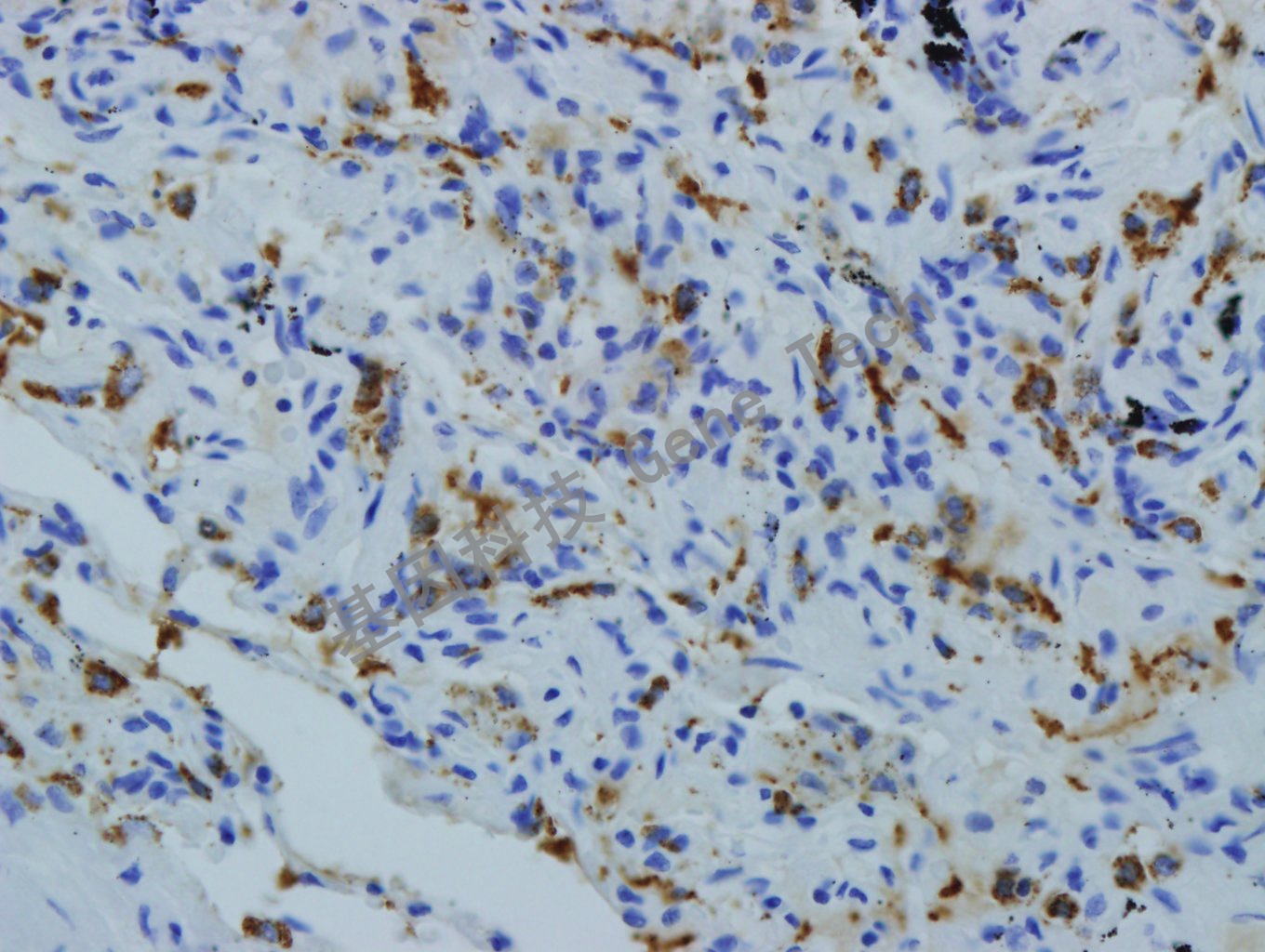 1680596393113009.jpg 1680596393113009.jpg