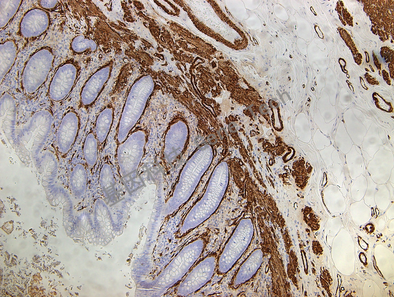 1681180330729137.jpg 1681180330729137.jpg