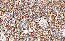 1681188147517625.jpg 1681188147517625.jpg