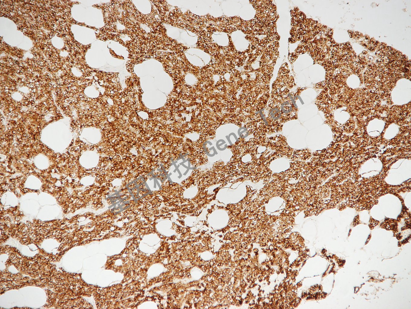 1681800959105013.jpg 1681800959105013.jpg