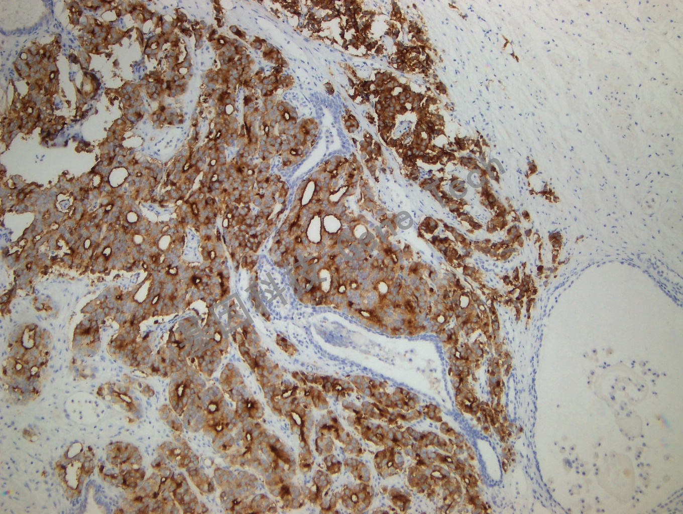 1681803683188073.jpg 1681803683188073.jpg