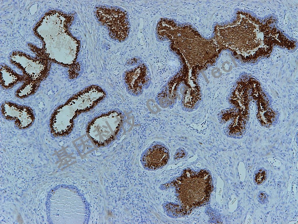 1681806004165911.jpg 1681806004165911.jpg