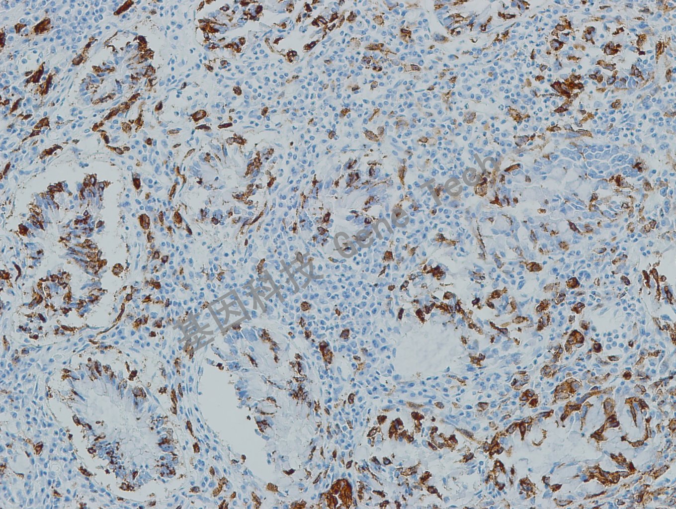 1681893623101912.jpg 1681893623101912.jpg