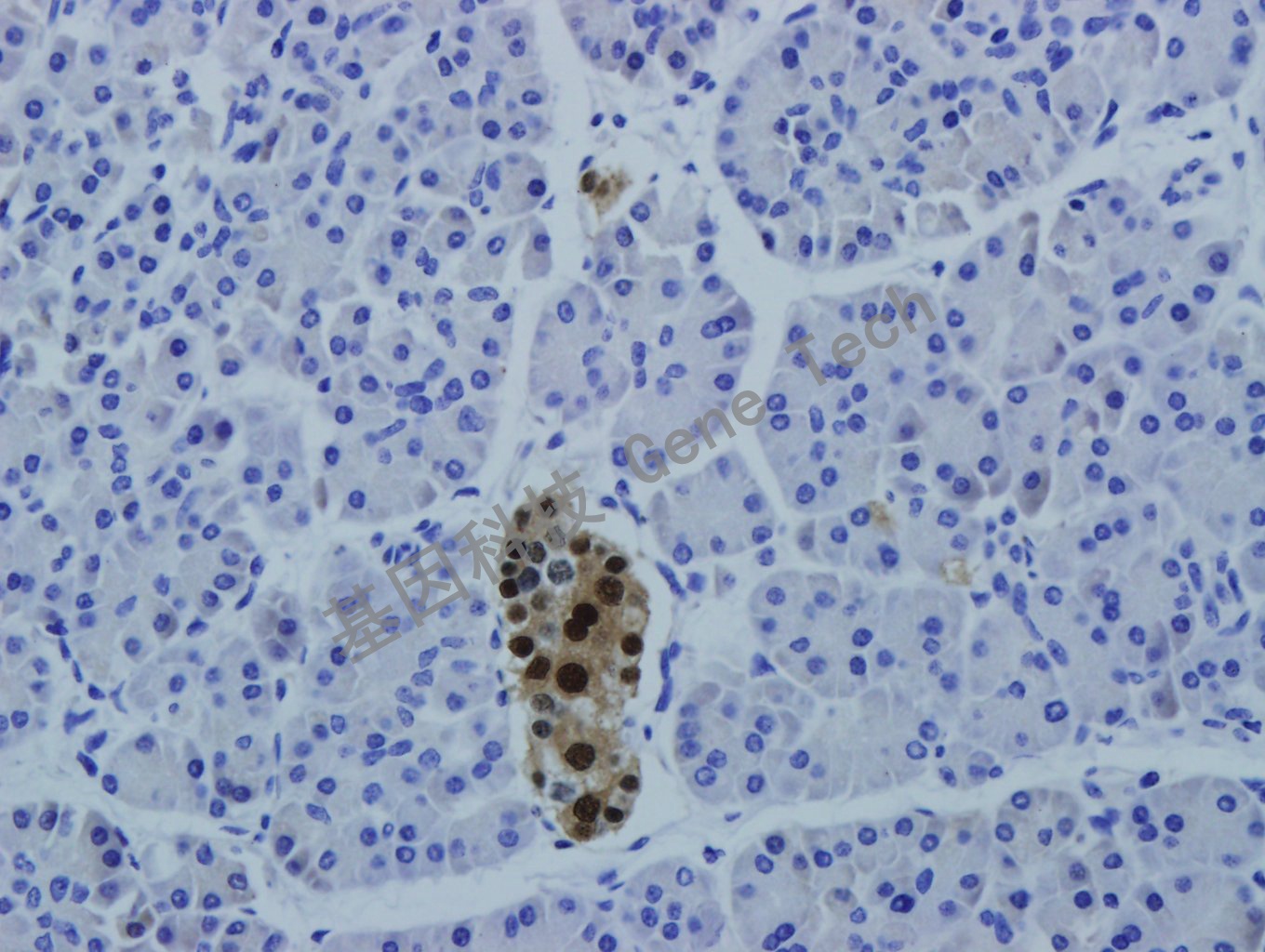 1683249910106927.jpg 1683249910106927.jpg