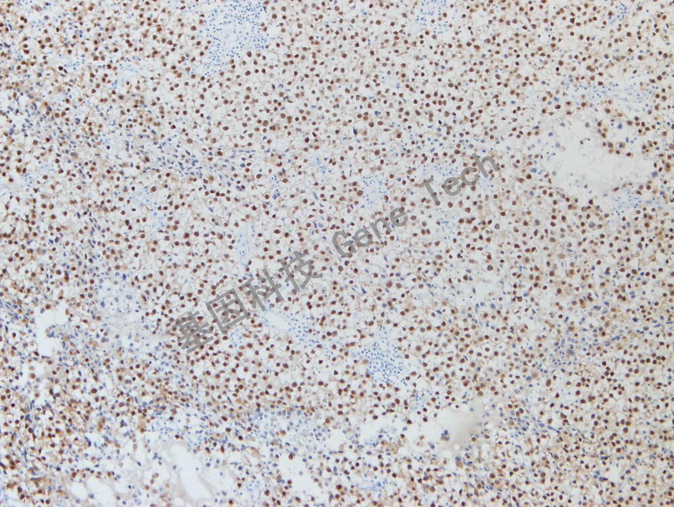 1683379673123663.jpg 1683379673123663.jpg