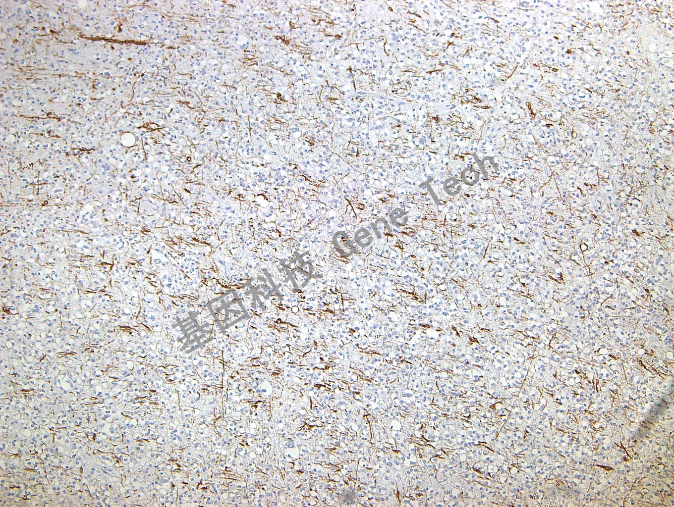 1683520823213802.jpg 1683520823213802.jpg