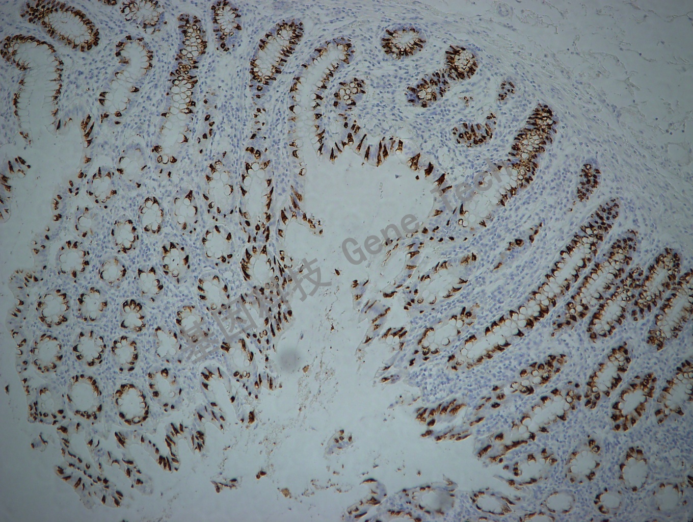 1683525751506234.jpg 1683525751506234.jpg