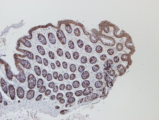 1683534776143583.jpg 1683534776143583.jpg