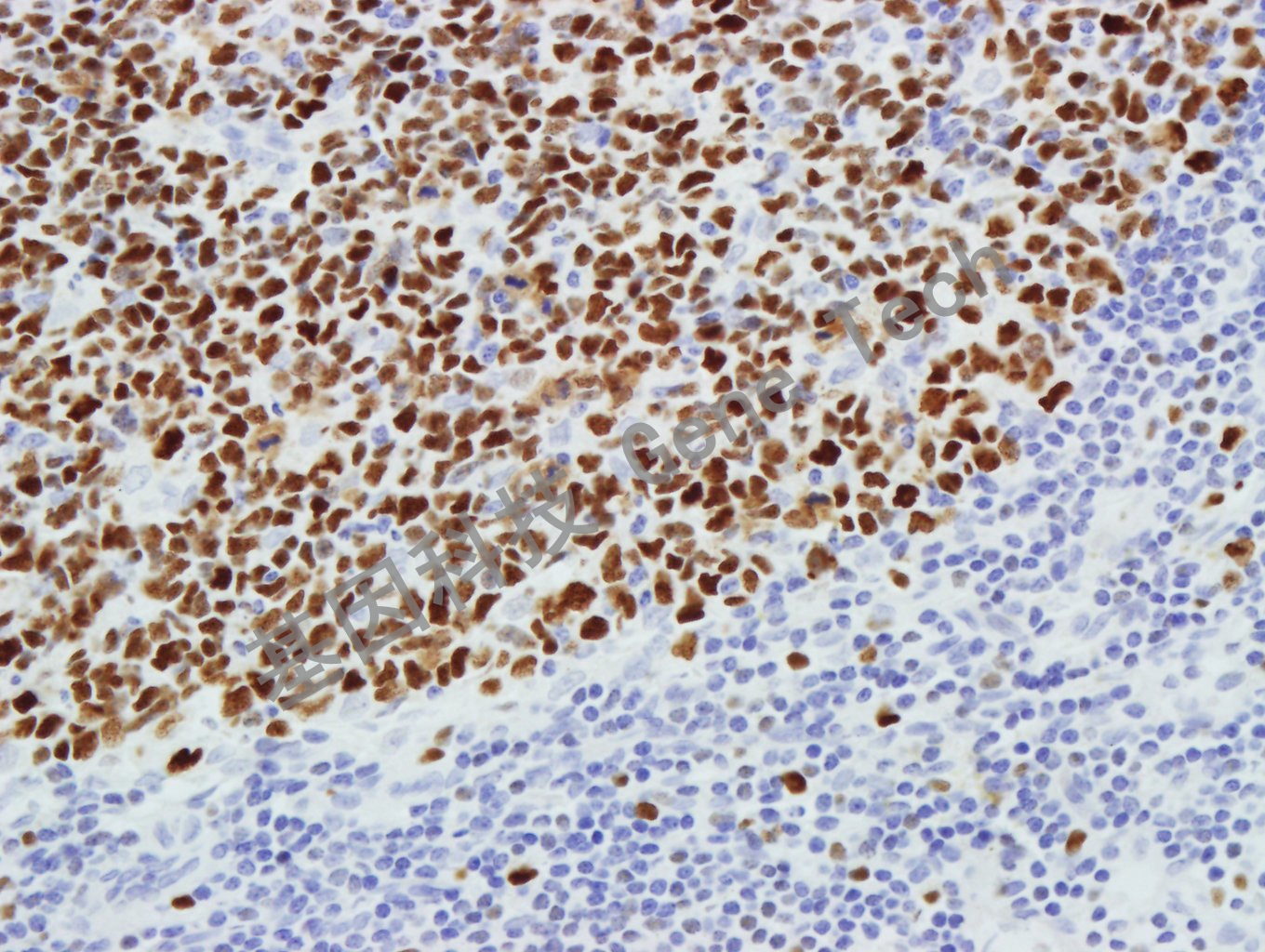 1683703235483749.jpg 1683703235483749.jpg