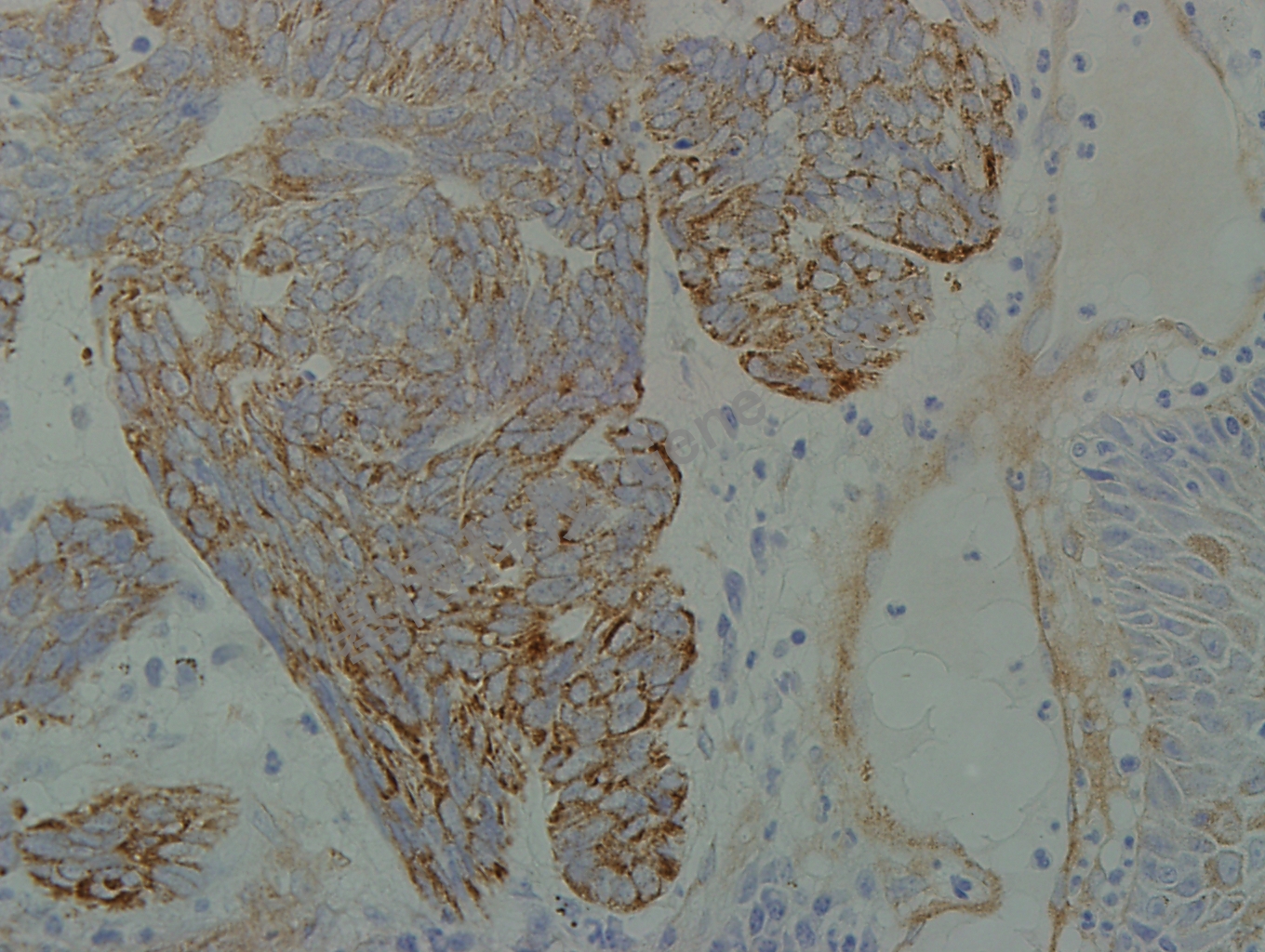 1683721404138793.jpg 1683721404138793.jpg