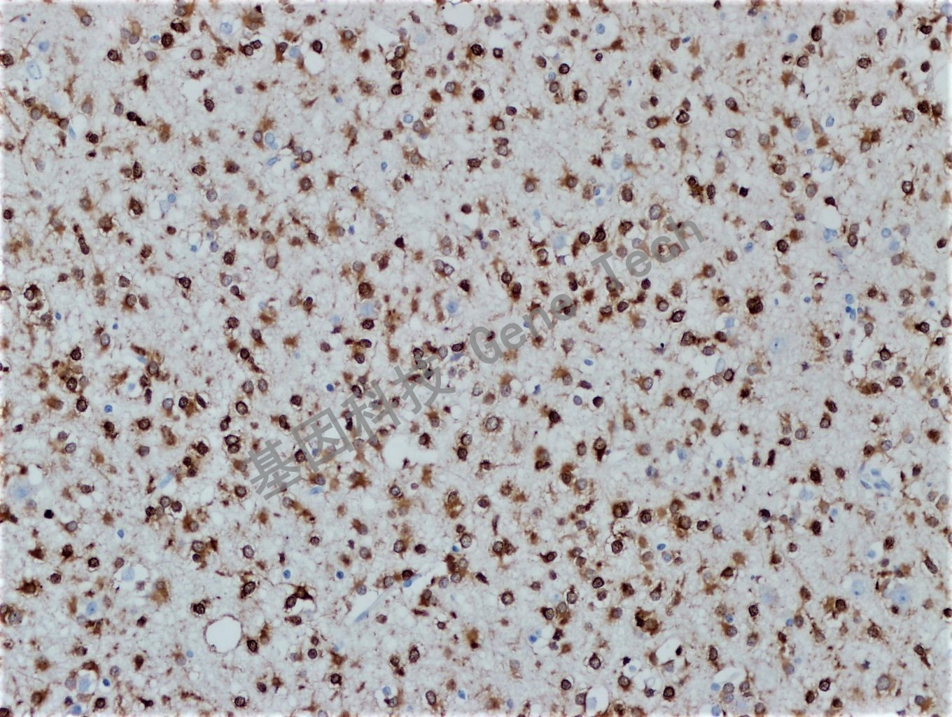 1684044632212309.jpg 1684044632212309.jpg