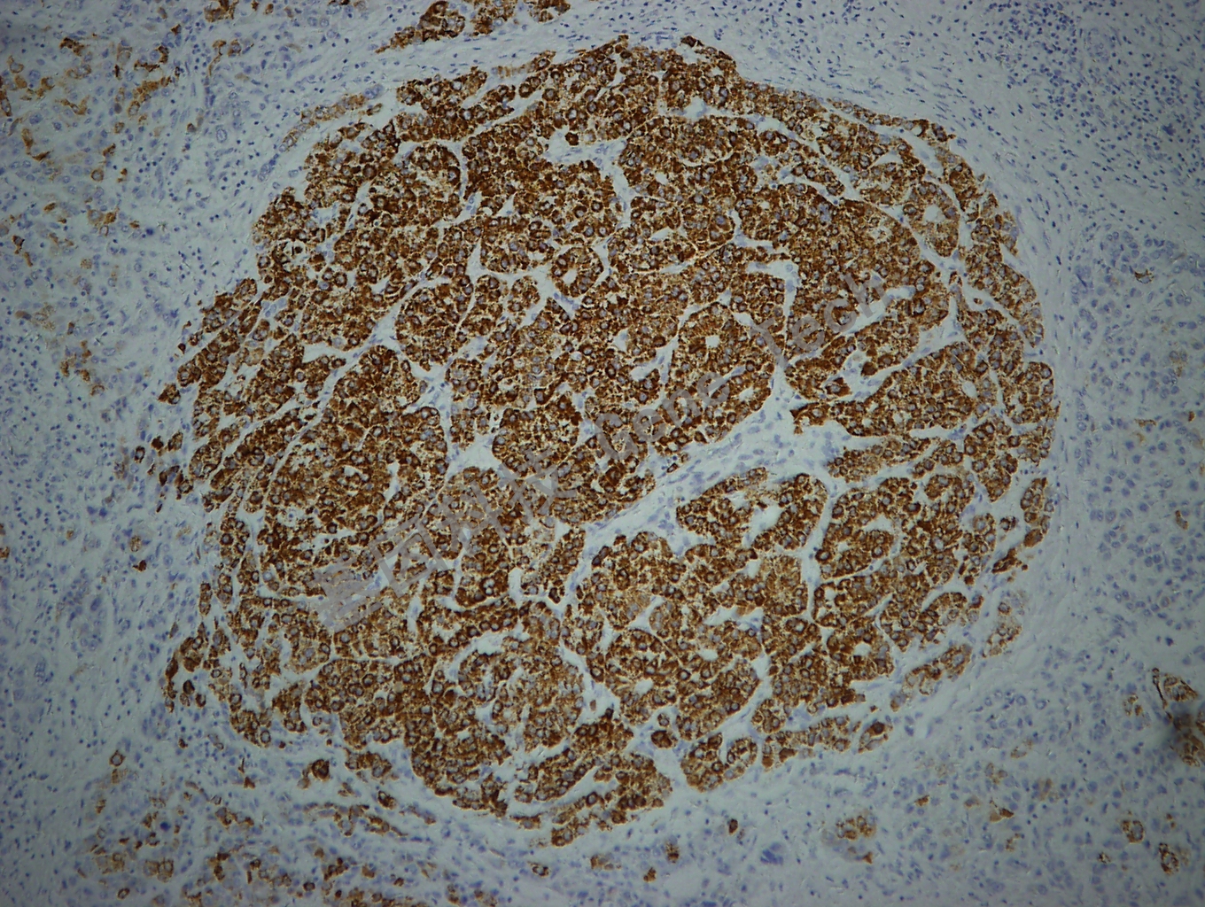 1684206558233405.jpg 1684206558233405.jpg