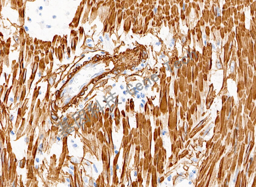 1684398566975830.jpg 1684398566975830.jpg