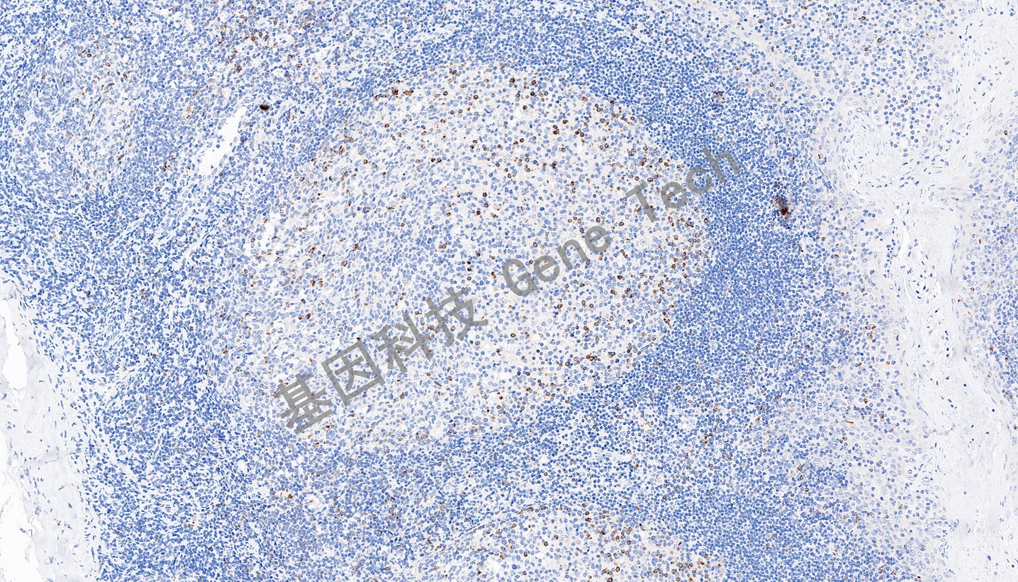 1700283478155545.jpg 1700283478155545.jpg