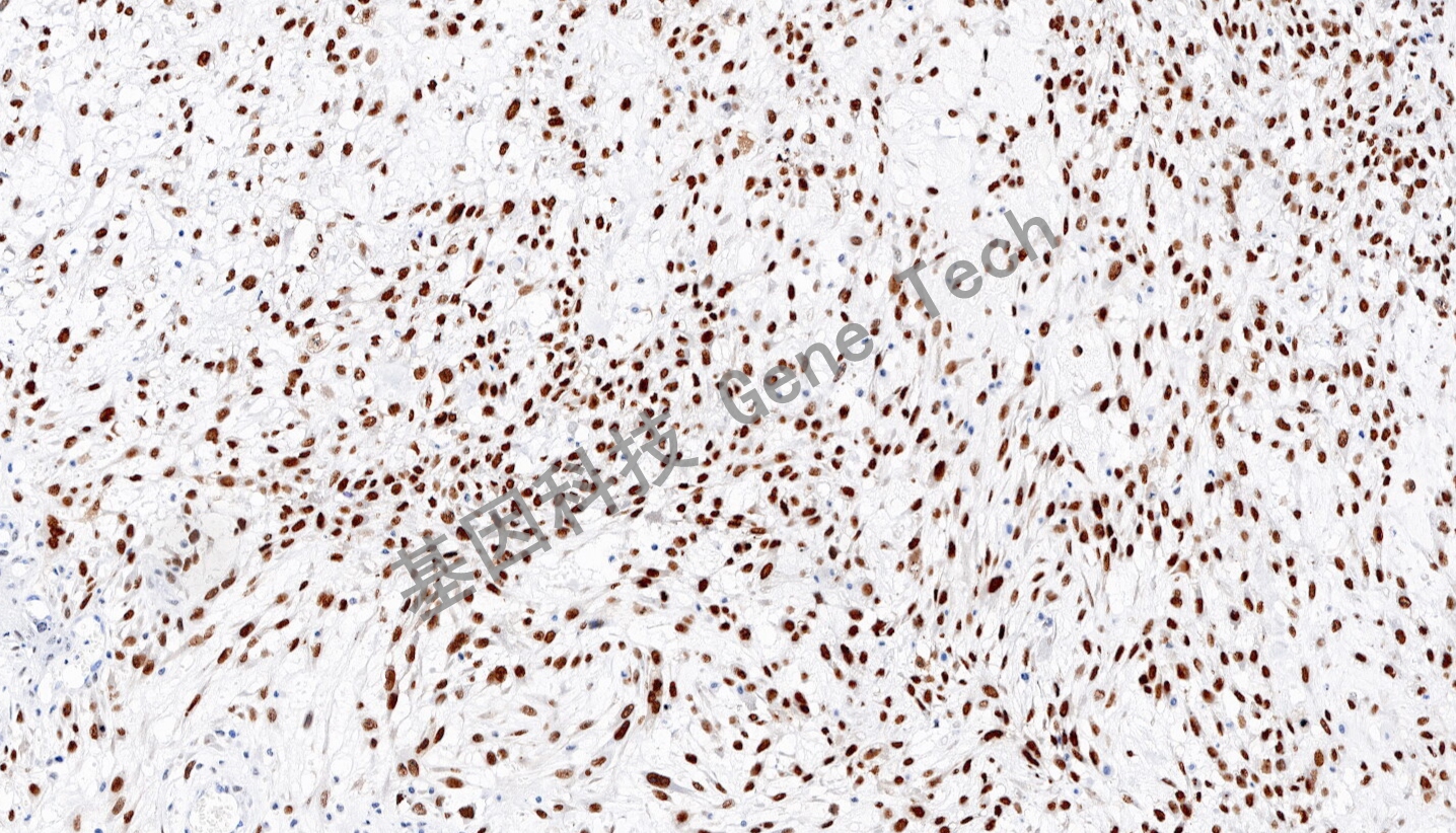 1711971537871801.jpg 1711971537871801.jpg